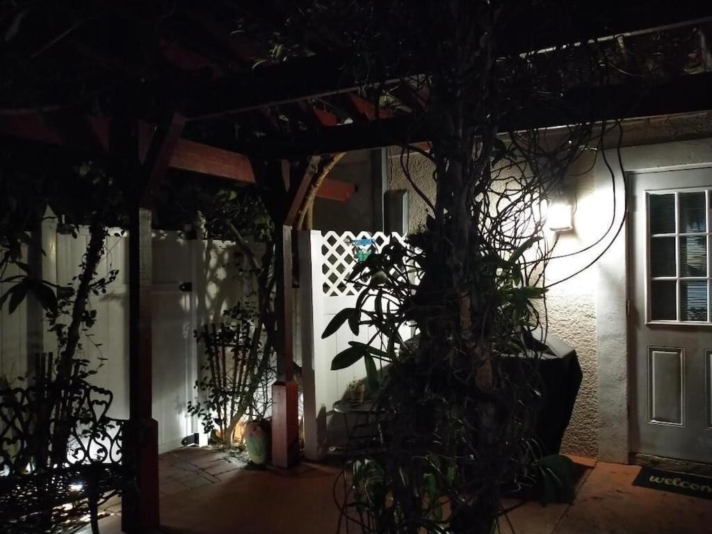 Tampa Bay Beautiful Apartment And Private Jacuzzi Exteriör bild