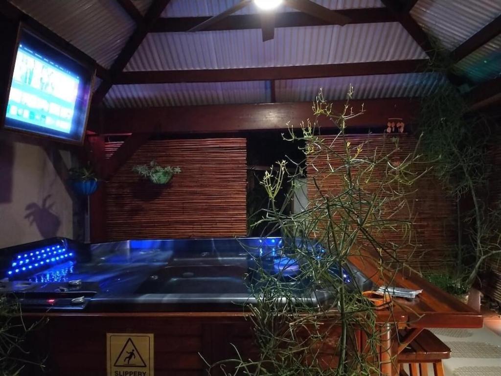 Tampa Bay Beautiful Apartment And Private Jacuzzi Exteriör bild