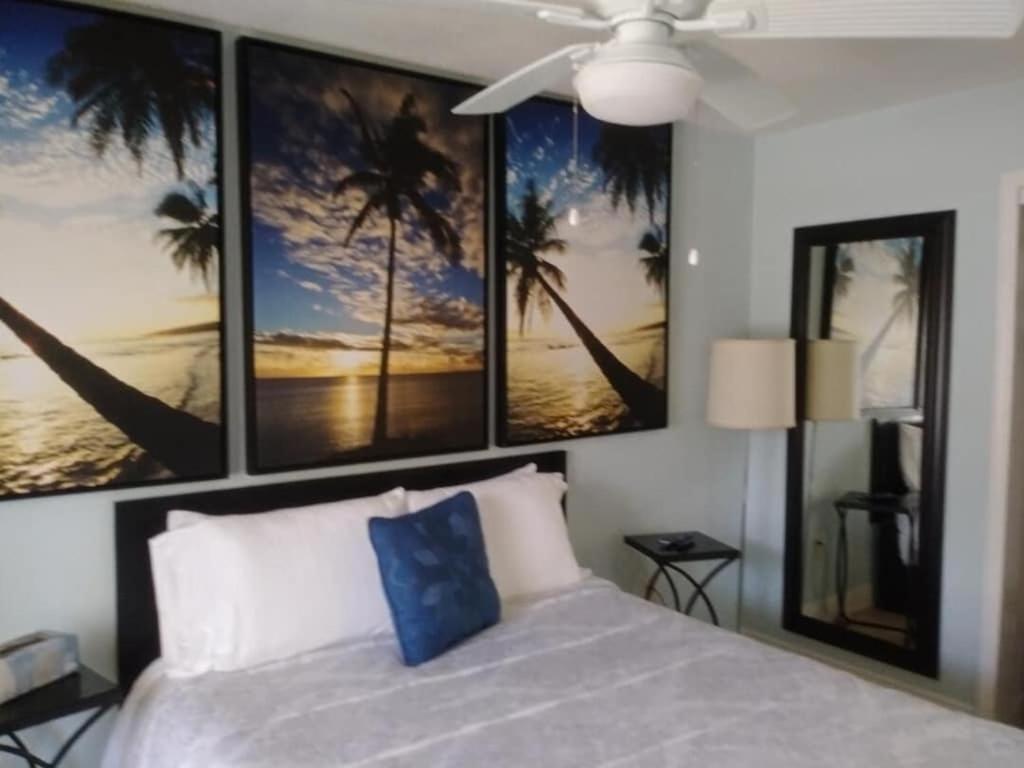Tampa Bay Beautiful Apartment And Private Jacuzzi Exteriör bild